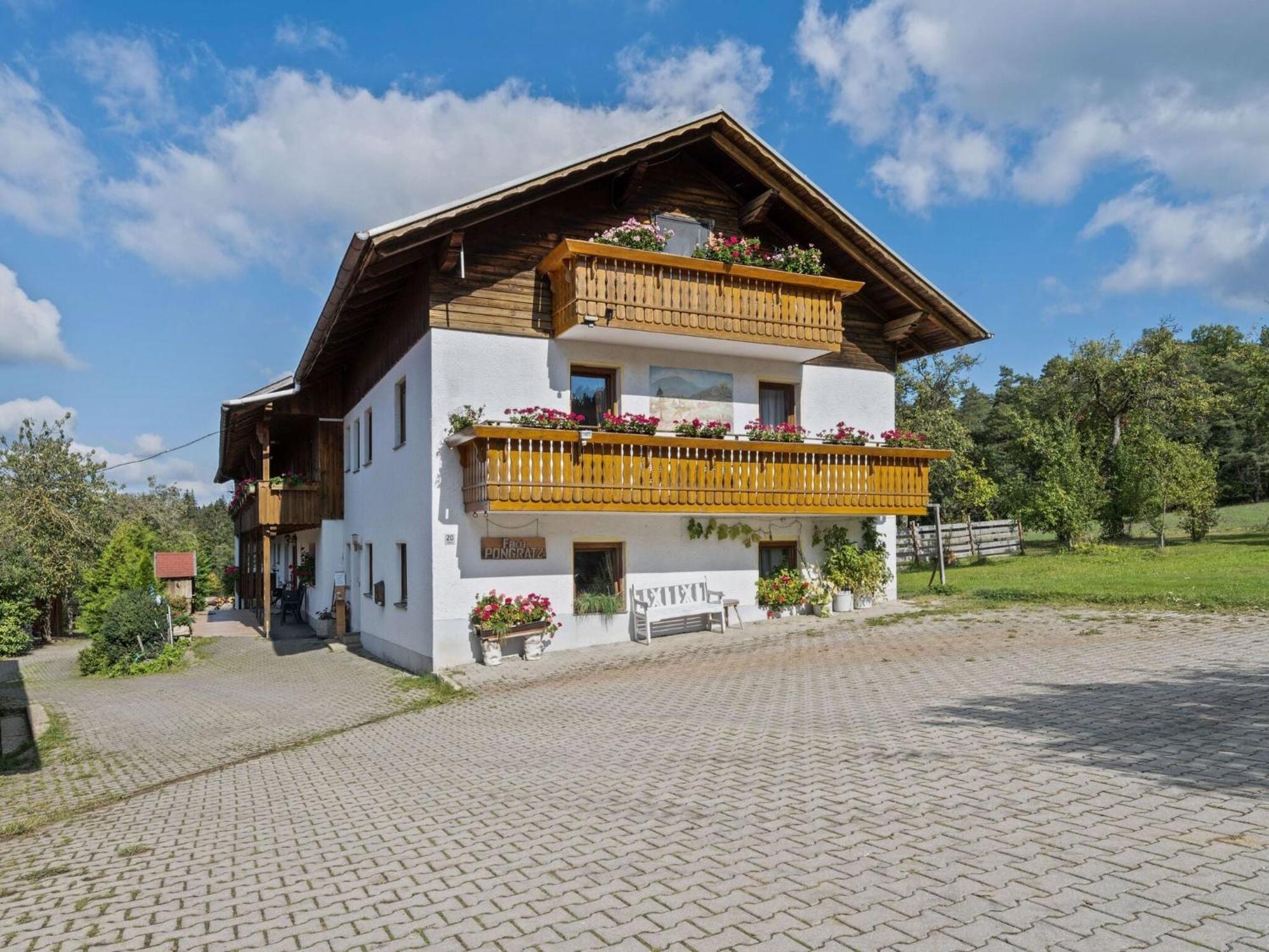 Apartment On A Farm Near The Ski Area Neukirchen beim Heiligen Blut Εξωτερικό φωτογραφία