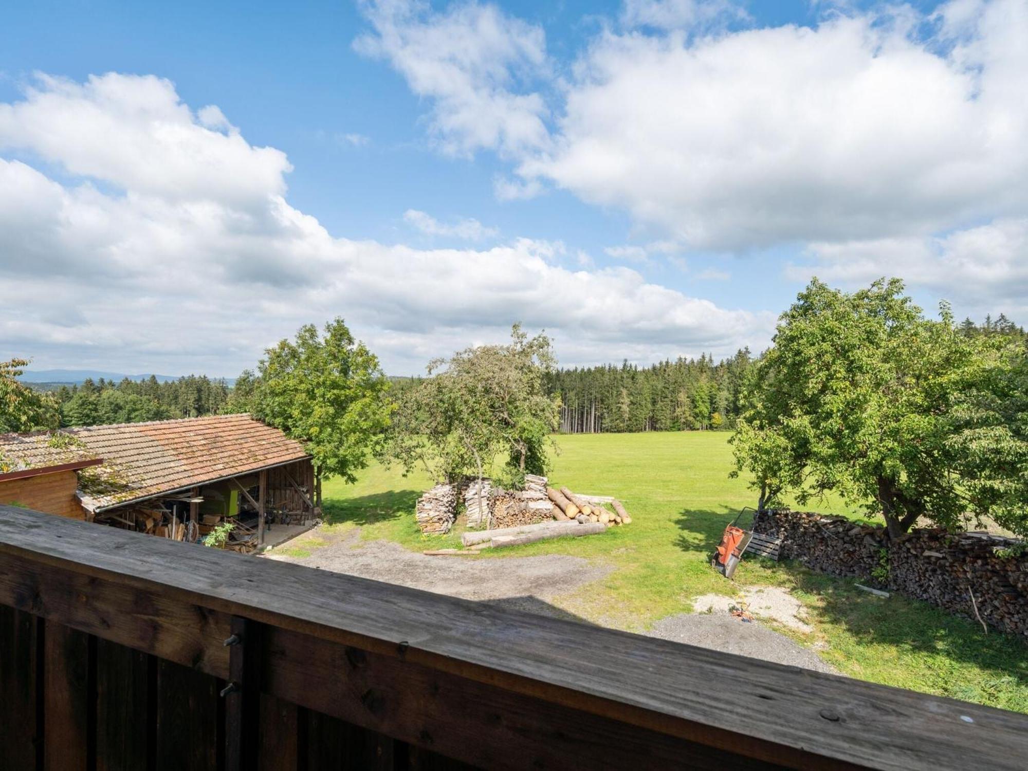 Apartment On A Farm Near The Ski Area Neukirchen beim Heiligen Blut Εξωτερικό φωτογραφία